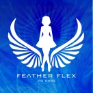 Introducing the Feather Flex