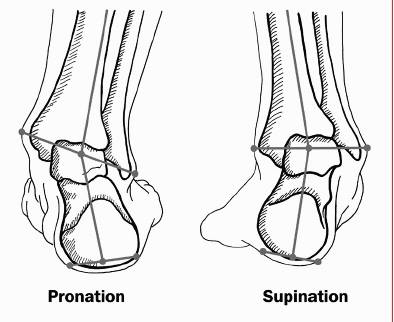 foot pronation supination